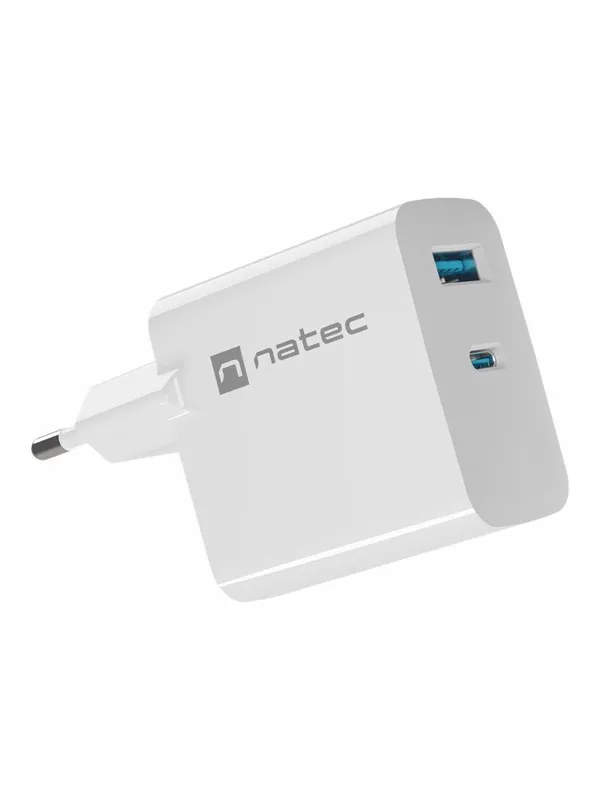 Natec Ribera power adapter - GaN - USB 24 pin USB-C - 65 Watt