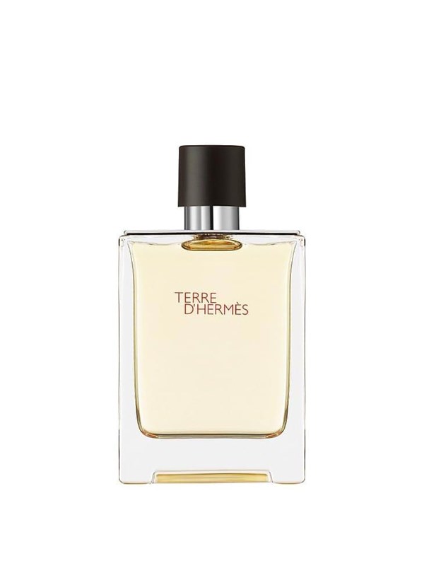 Hermès Terre d' EDT 100 ml