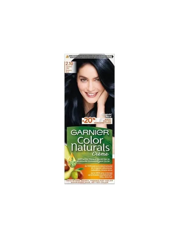 Garnier Color 2.10 Blueberry Black