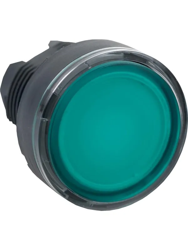 Schneider Electric Illuminated pushbutton head