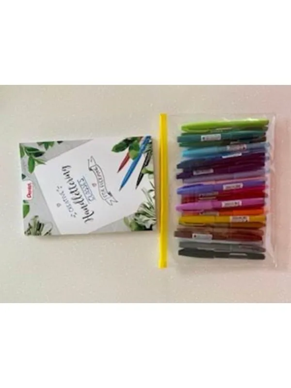 Pentel SES15-24 Brush Sign Pen Plastic cover