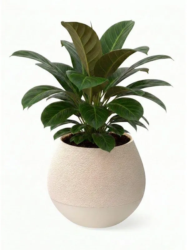 Simiu KAPKA - Flower Pot Shelter With Self-Watering System - Ivory - Ø:11.5