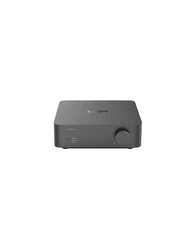 WiiM Vibelink - Amplifier - 2x100W - 8 Ohm - Grey