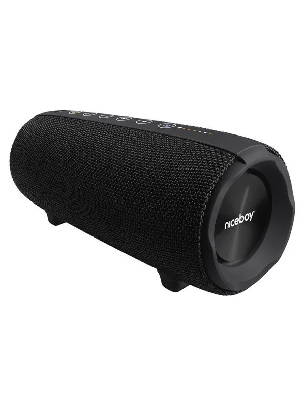 Niceboy RAZE 4 Titan 50W IP7X Bluetooth Speaker