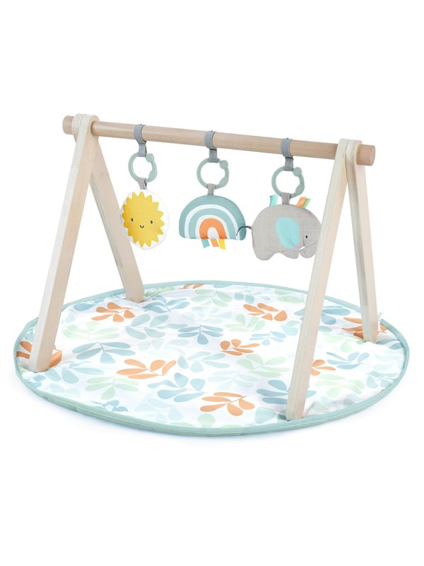 Ingenuity Sun Valley™ Wooden Toy Arch & Play Mat