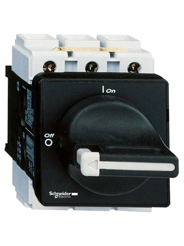 Schneider Electric Main switch discon. 80a