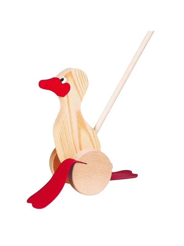Goki Wood Duck