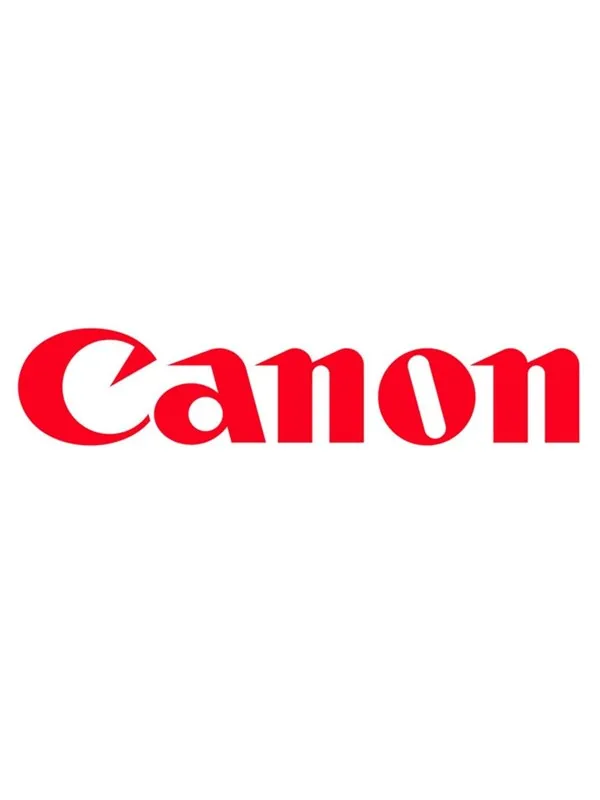 Canon PFI-2300 / 5281C001 Grey