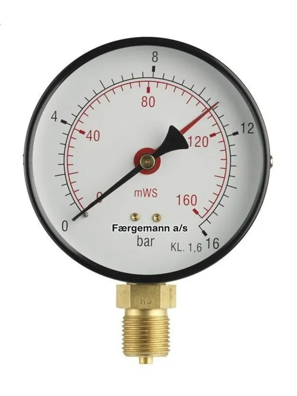 Erik Færgemann [481101062]