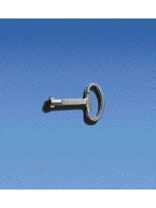 Rittal Doors locks