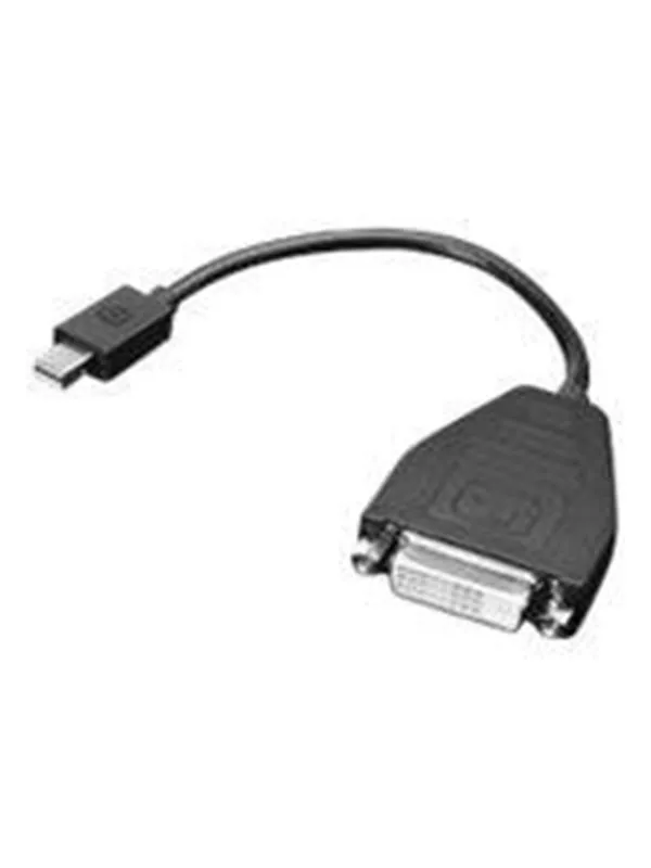 Lenovo DisplayPort adapter - 20 cm