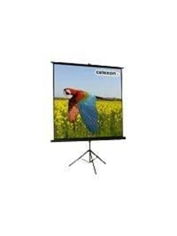 Celexon Economy tripod screen