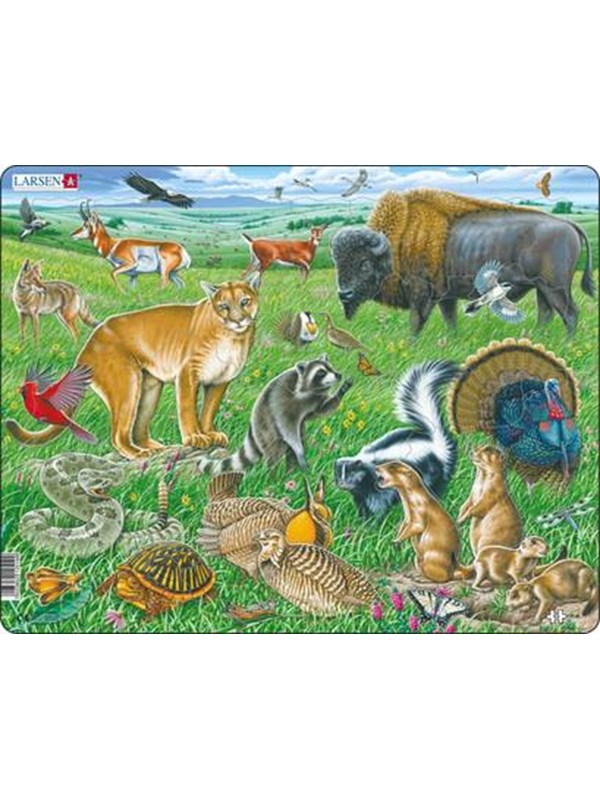 Larsen Puzzles Puzzle American prairie - 53 pieces Maxi (36.5x28.5 cm) Gulv