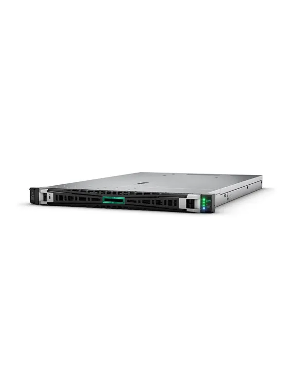 Hewlett Packard Enterprise HPE ProLiant DL365 Gen11