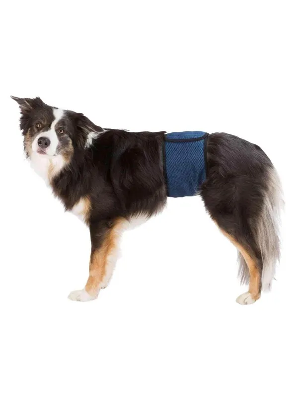 Trixie Washable Nappies for Male Dogs XL Waist 65-75cm