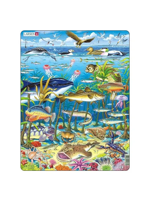 Larsen Puzzles Puzzle Marine Life in the North Atlantic - 60 pieces Maxi (36.5x28.5 cm) Gulv