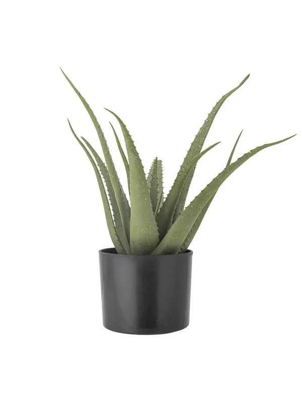Bloomingville Aloe