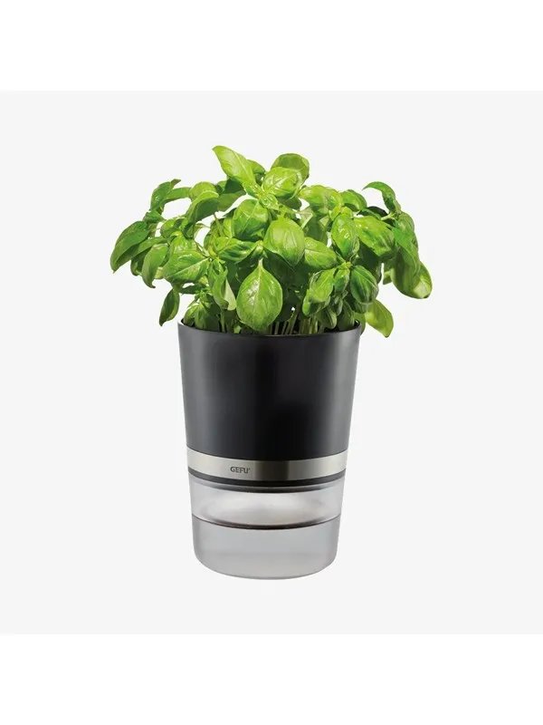 GEFU Urtepotte, BOTANICO
