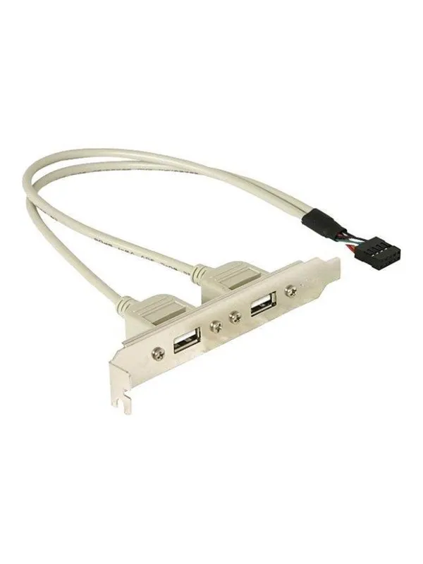DeLOCK USB Panel - 10 pin USB Header to USB - 30 cm