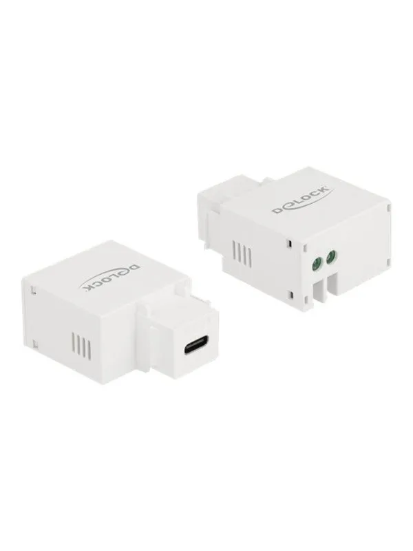 DeLOCK Power Adapter - 24 pin USB-C - 10.5 Watt