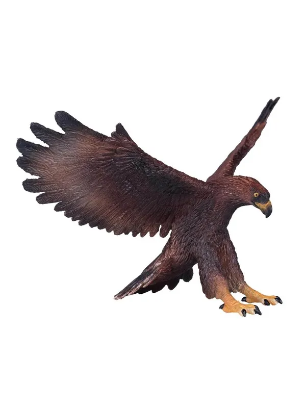 Mojo - Wildlife Golden Eagle