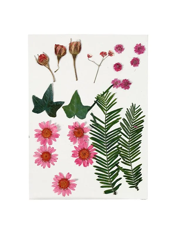 Creativ Company Dried Flowers and Leaves Light Red 19 pcs.