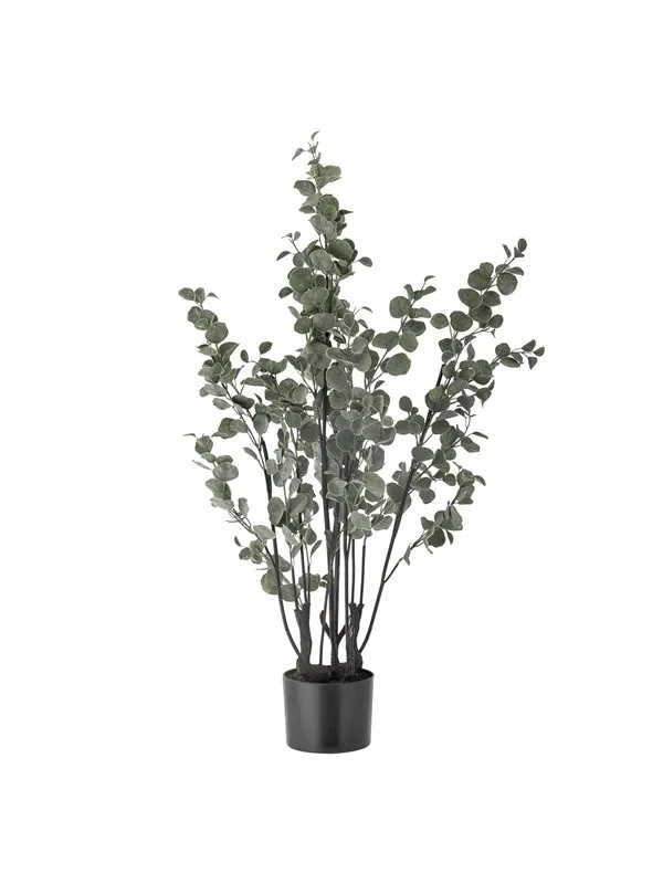 Bloomingville Eucalyptus
