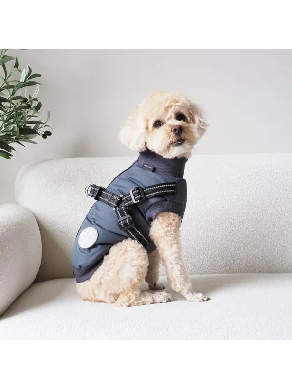Nordic Paws - Dogcoat Thor with harness 35 cm - Anthracite - S