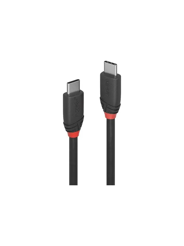 Lindy Black Line - USB-C cable - 24 pin USB-C to 24 pin USB-C - 1 m