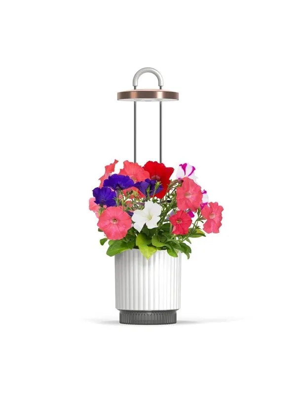 Click & Grow HydroVase Grow Fresh Plants Indoors All Year Round with LED Lighting and Self-Watering System - White