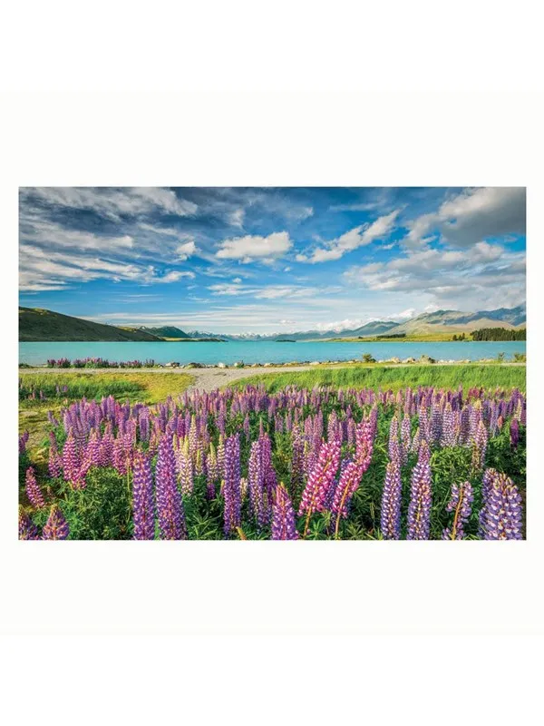 Clementoni Jigsaw Puzzle Flowers at Lake Tekapo 1500pcs. Gulv