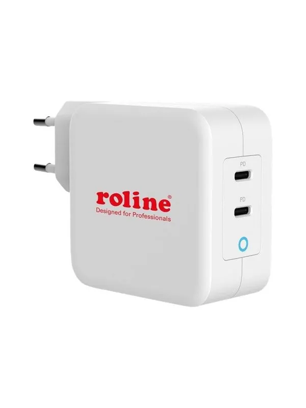 Roline power adapter - 24 pin USB-C - 100 Watt