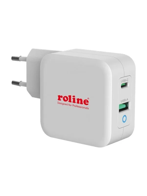 Roline power adapter - USB 24 pin USB-C - 65 Watt