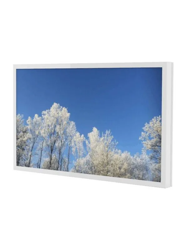 HI-ND Wall Casing PROTECT mounting kit - landscape - for LCD display - white - Max - recommended for 65"
