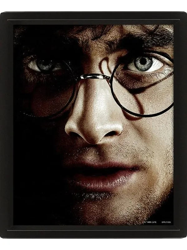 Pyramid - Wall Art - Harry Potter vs Voldemort 3D Framed 20x - Bilde