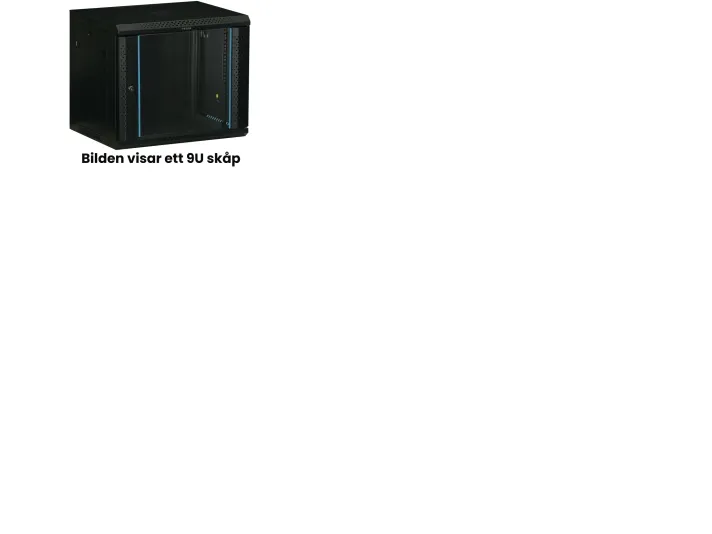 TOTEN 19" Wall Cabinet 12U