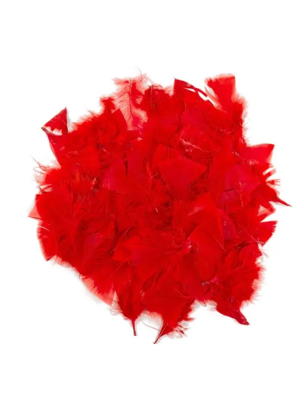 Colorations - Red Feathers 25 grams