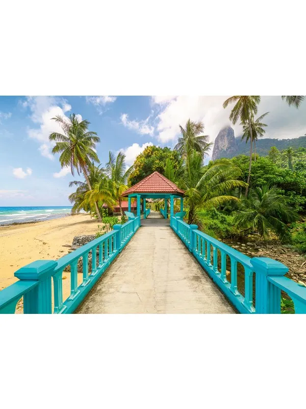 Ravensburger Colorful Bridge in Malaysia (1000)
