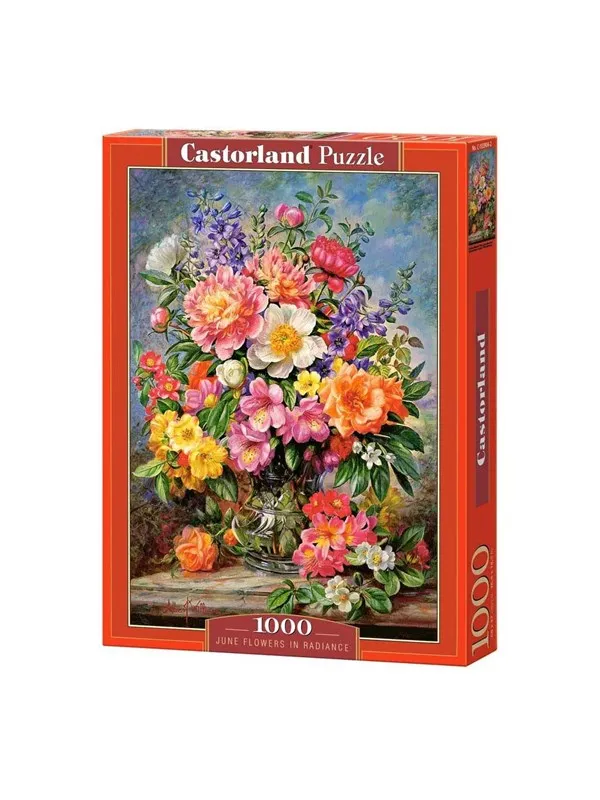 Selecta Play Castorland Jigsaw Puzzle June Flowers in Radiance 1000pcs. Gulv