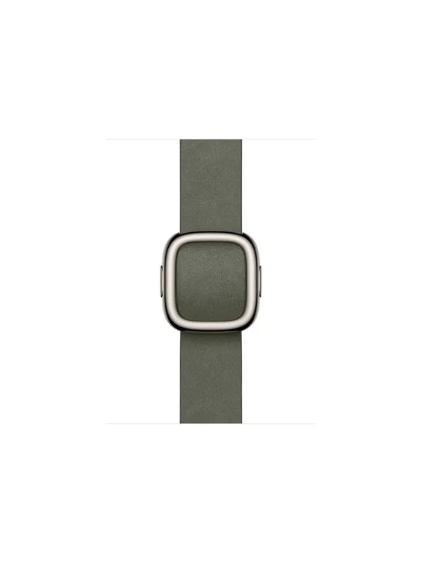 Apple 42mm Sage Gray Modern Buckle - Large