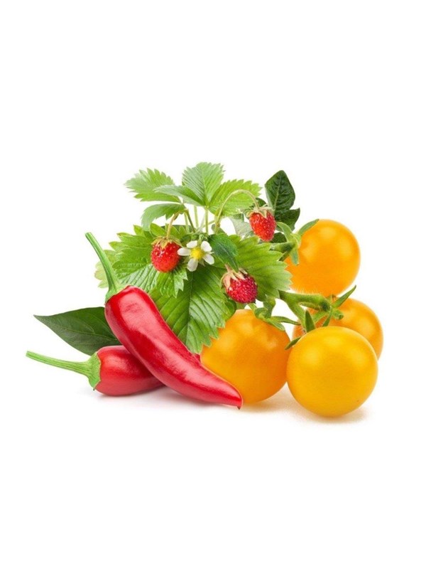 Click & Grow Click and Grow - Smart Garden Refill 9-pack Fruit and Veggie Mix