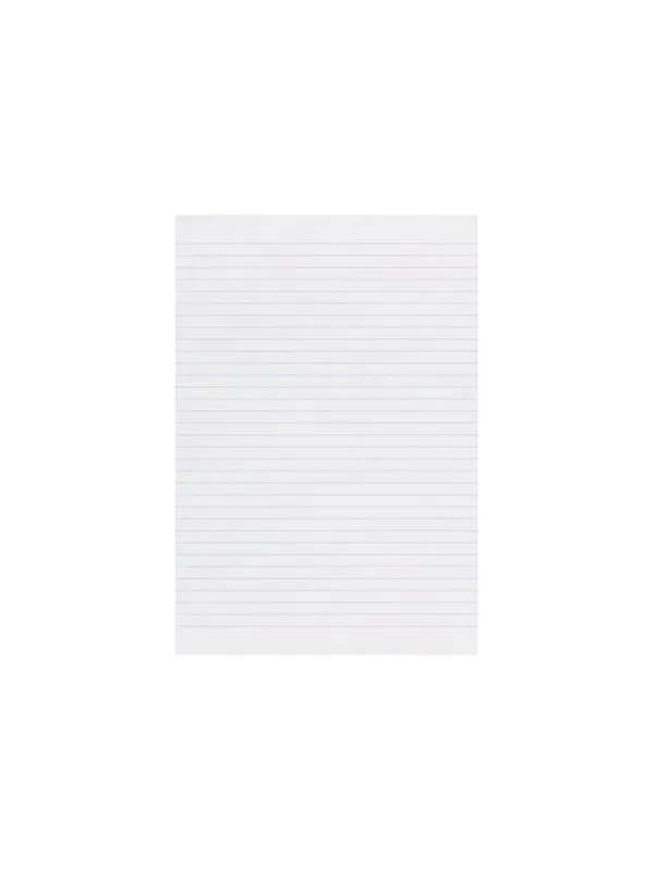 Esselte - protocol book - 96 sheets - A4