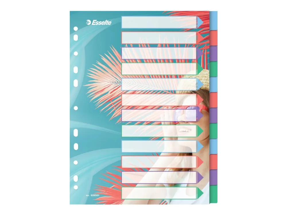 Esselte  Colour'Breeze A4 Indices 12 Tabs PP