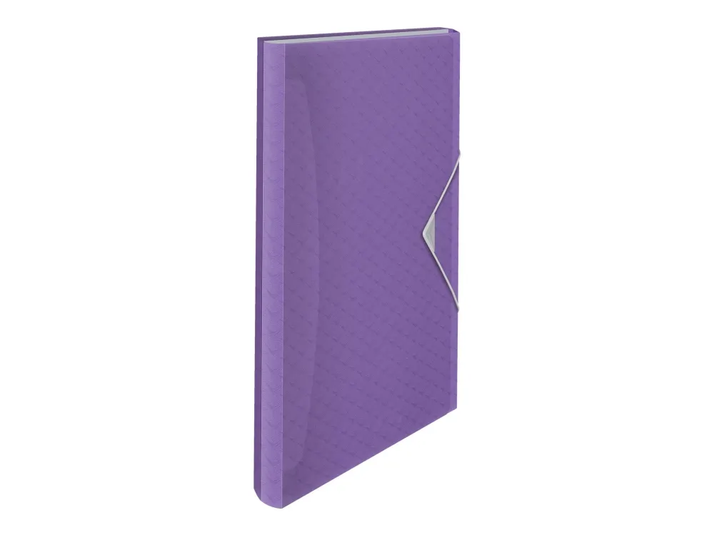 Esselte  Colour'Breeze Expanding Concertina File Lavender