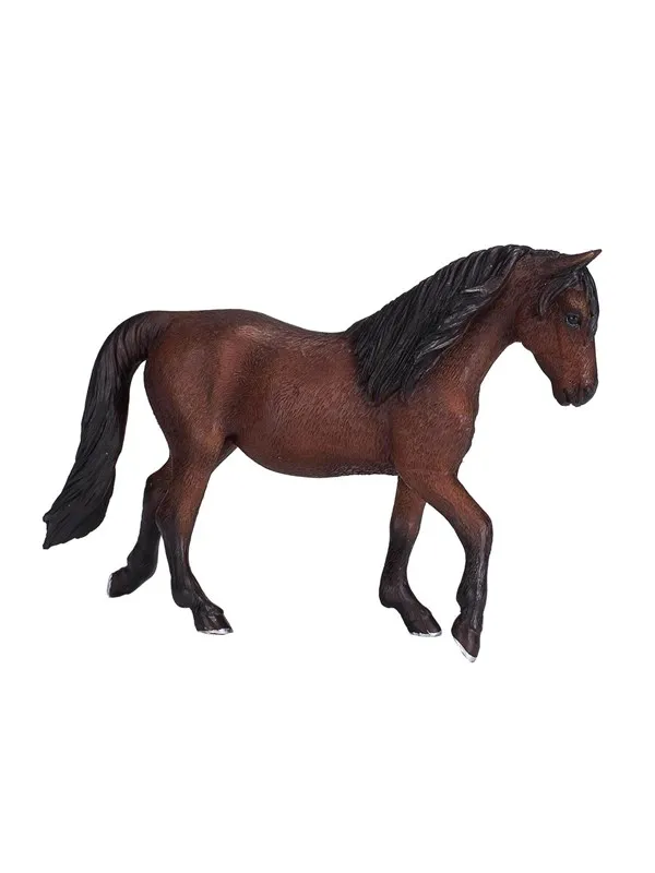 Mojo Horse World Morgan Stallion Brown
