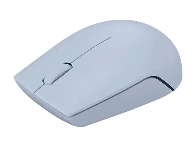 Lenovo 300 Wireless Compact - mouse - with battery - 2.4 GHz - frost blue - Mus - Optisk - 3 knapper - Blå