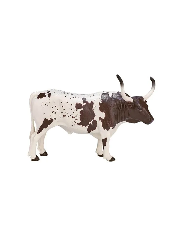 Mojo Farmland Texas Longhorn Bull