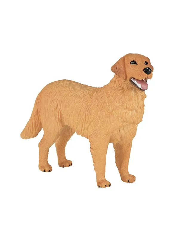 Mojo Farmland Golden Retriever