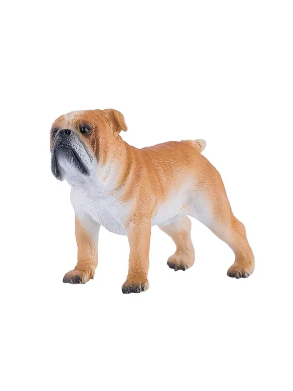 Mojo Farmland English Bulldog