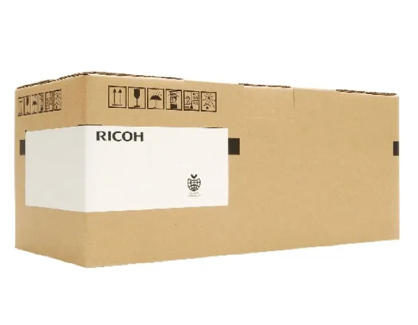 Ricoh - black - original - drum kit